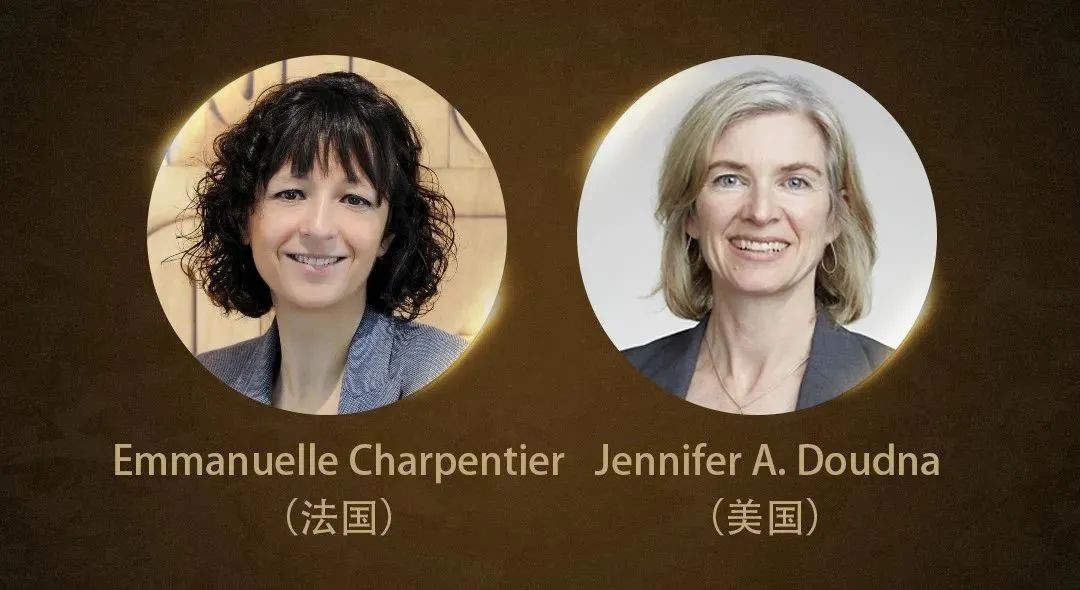 美亚生物科技集团恭贺2020诺贝尔化学奖得主Jennifer Doudna和Emmanuelle Charpentier